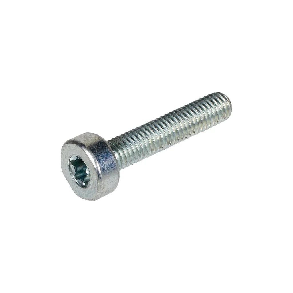 Șurub Solo M5x25 908005255
