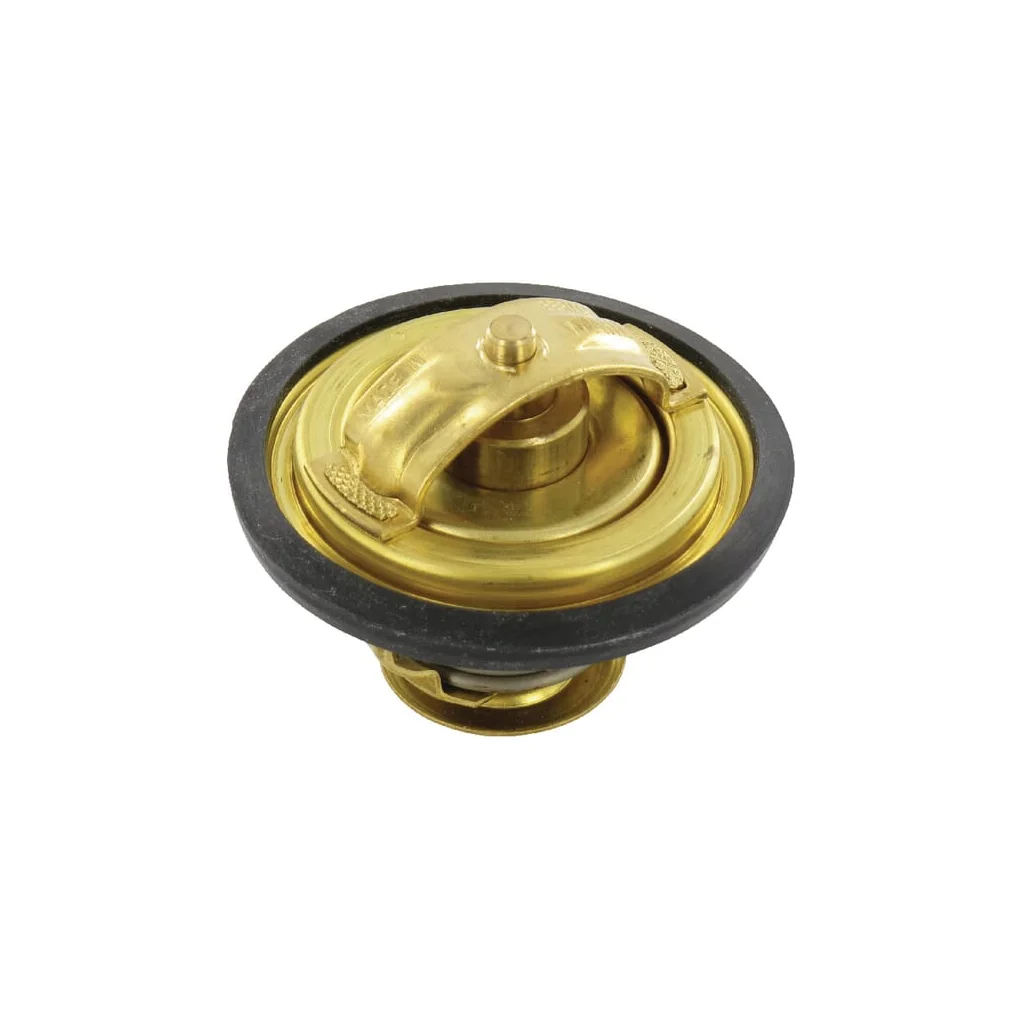 Termostat 9195001