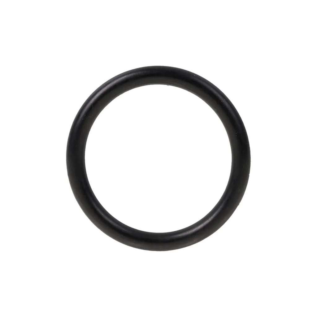 O-ring 974361