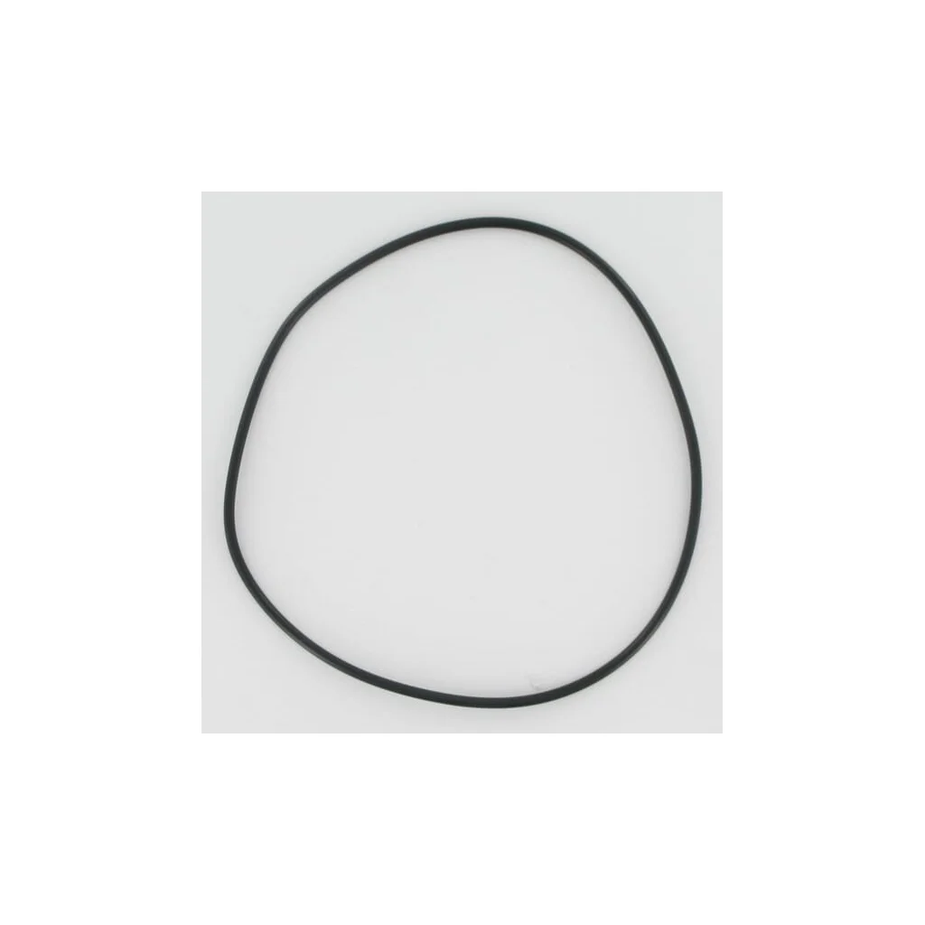 [AMAT2-227052] O-ring Herder 93504353