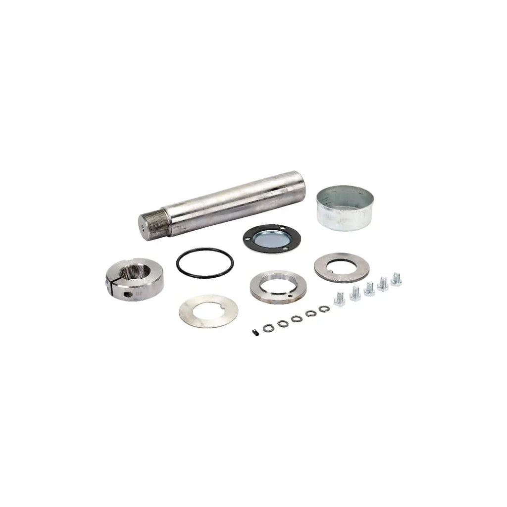 Set reparaţii pivot 55/60/314 9RST06