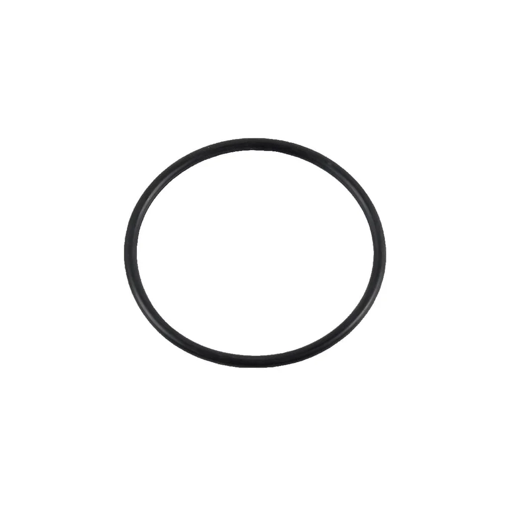 O-ring 9991976