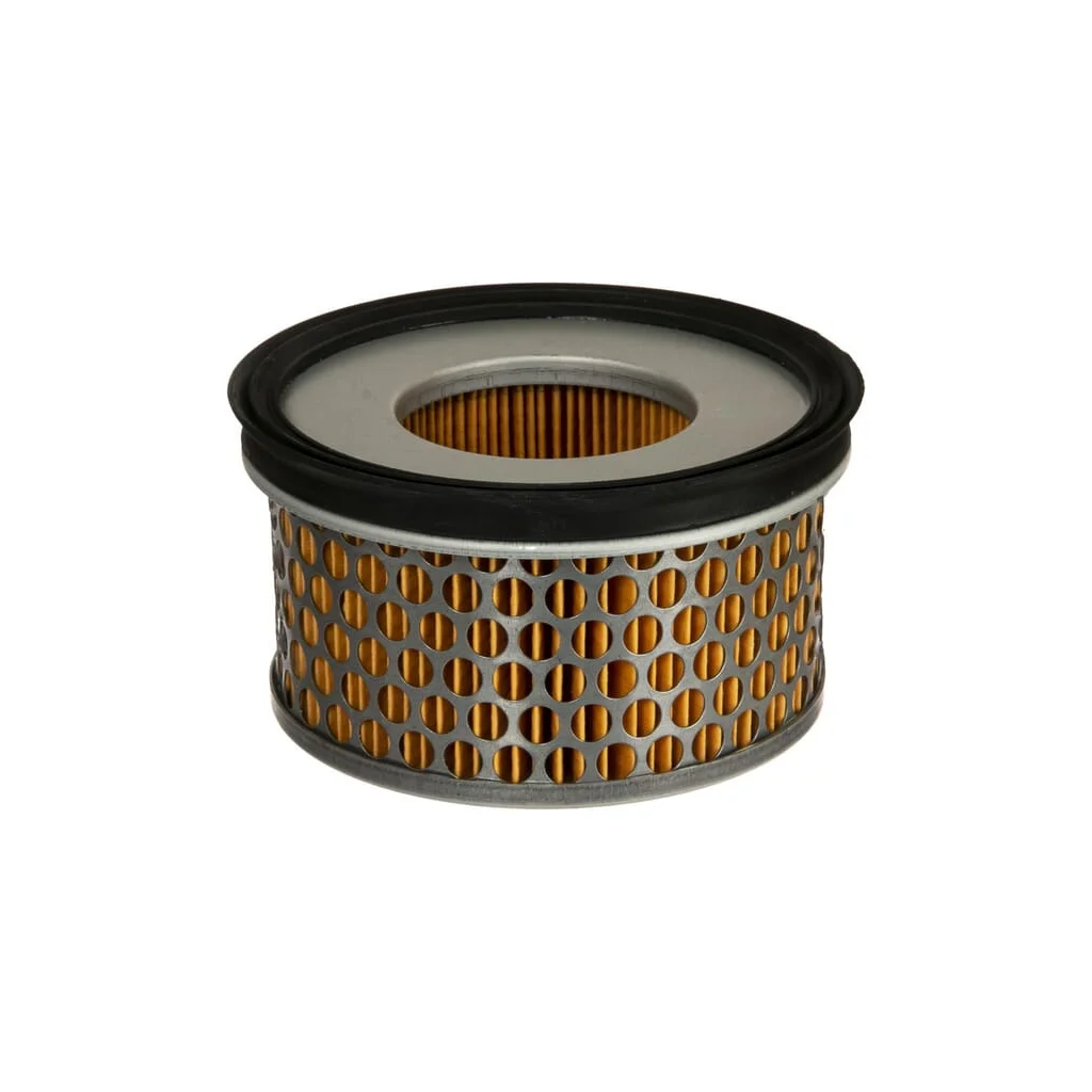 Inserție filtru de aer AGW419011