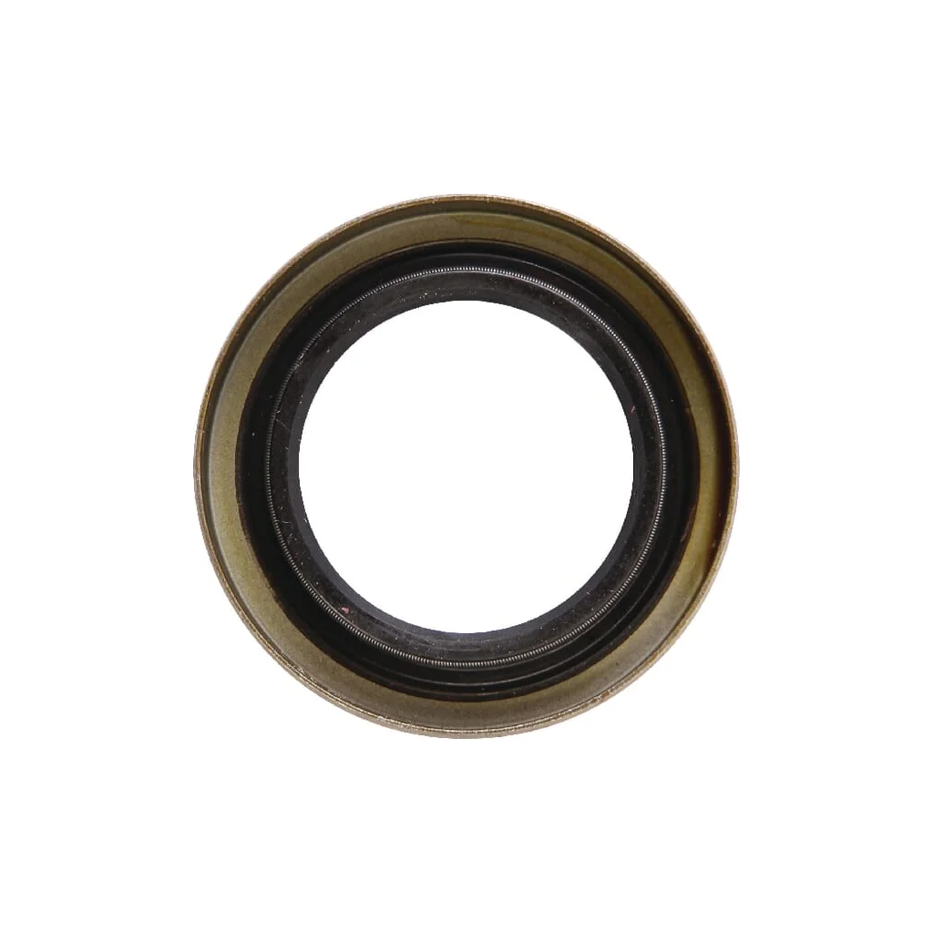 Simering B1Sl 30x47 AGW17678