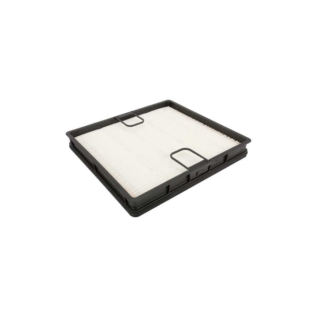 Filtru de aer secundar AF55309