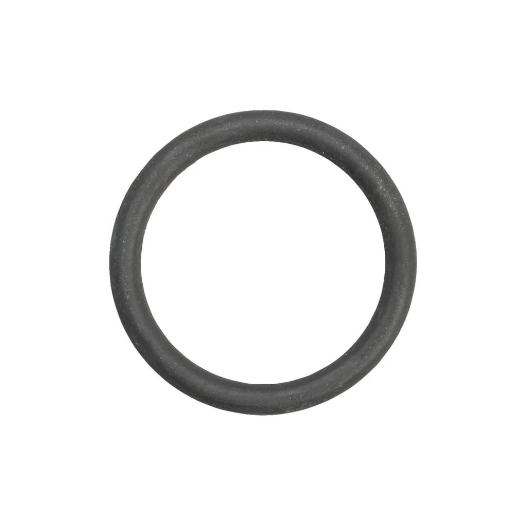 O-ring 974251