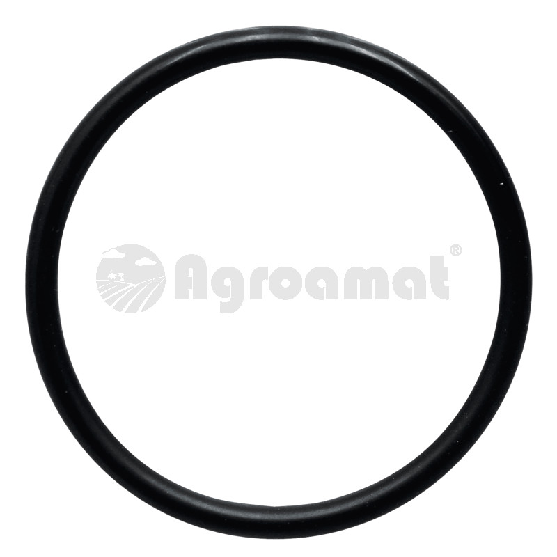 O-ring