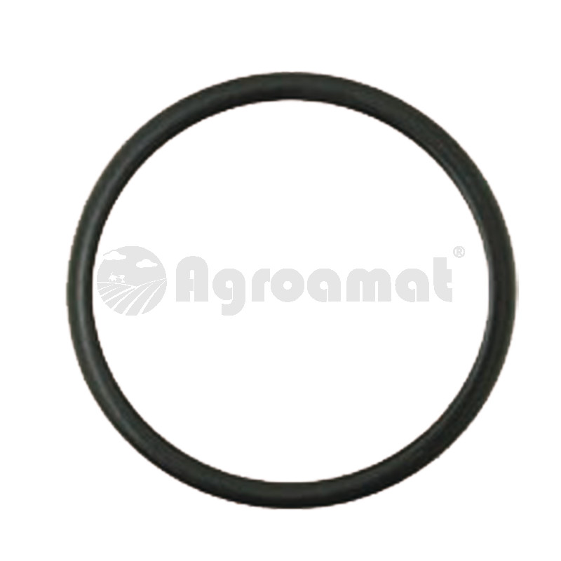 O-ring