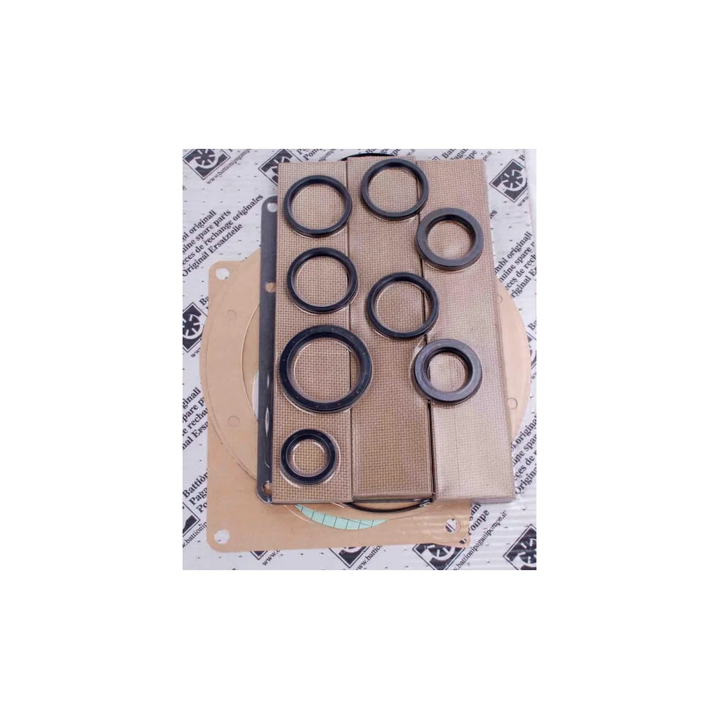 Set pentru repararea SE10000 cu vane standard AS7KIT