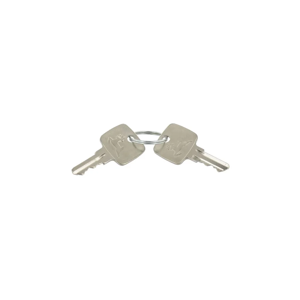 Cheie de contact AR51481