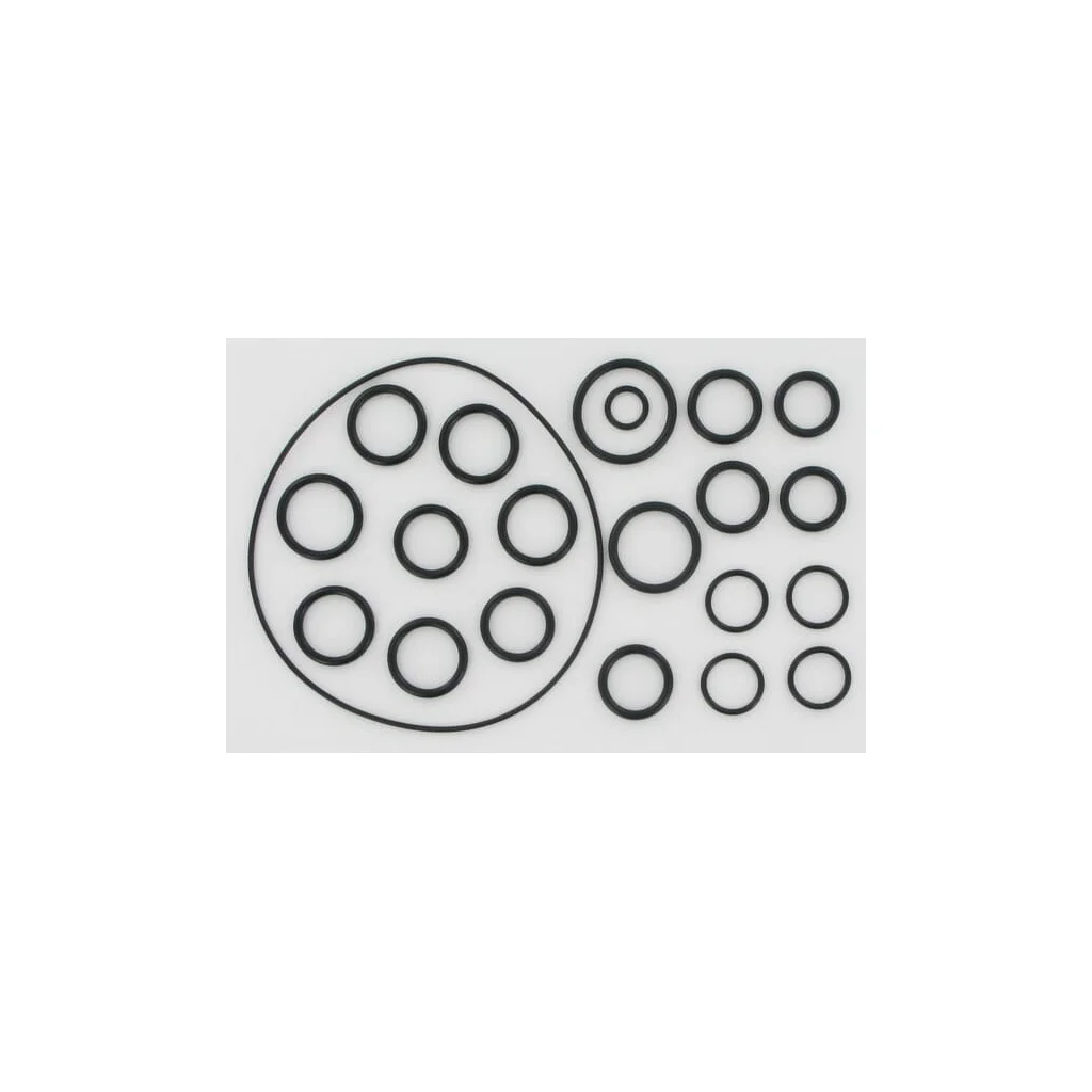 Set o-ringuri pentru AR202 / 252 AR2409