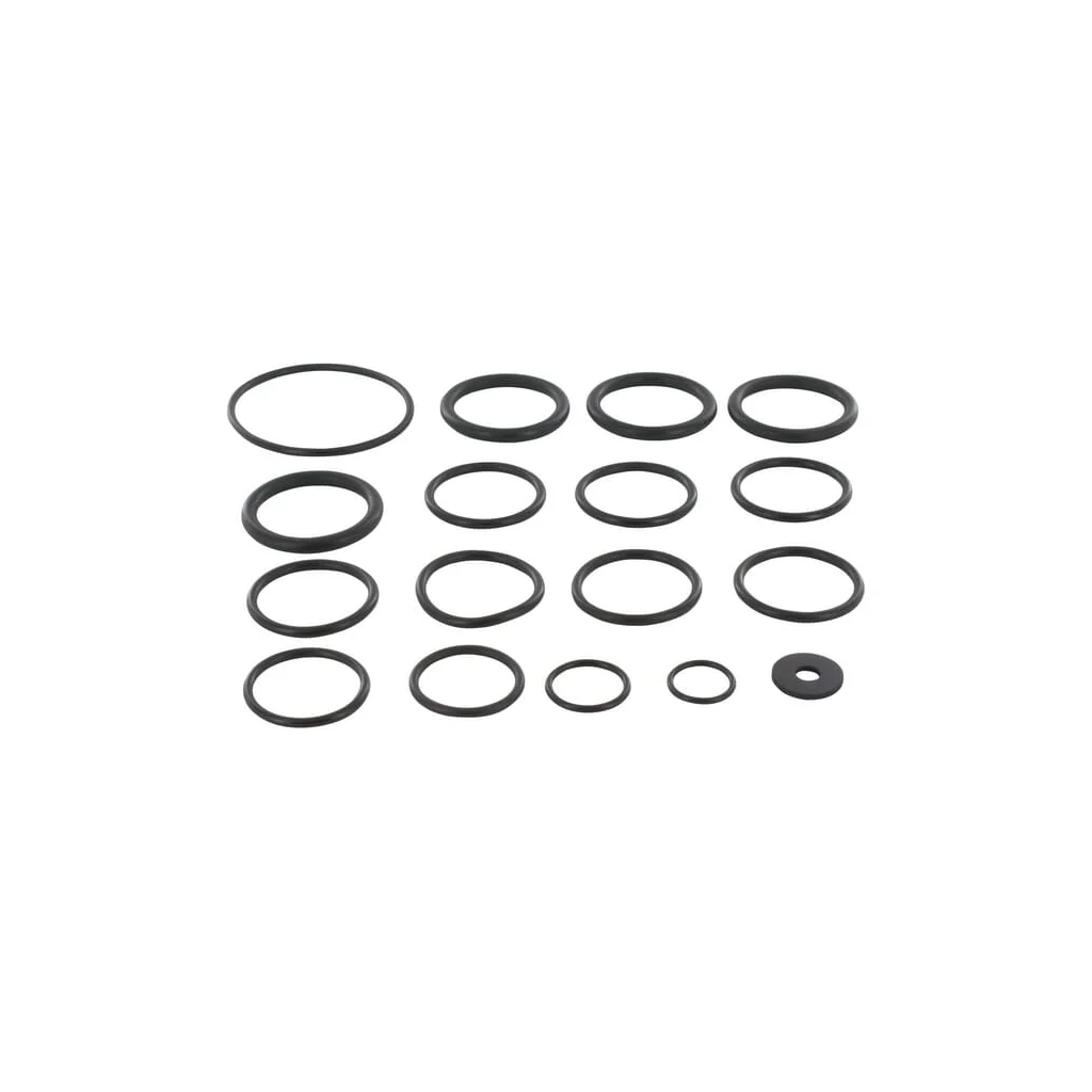 Set o-ringuri 2 cilindri AR2365