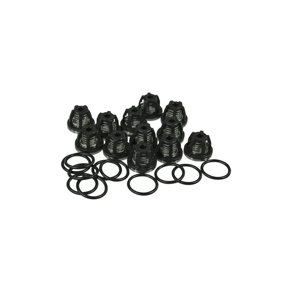 Set supape 6 cilindri (12 supape) AR2114