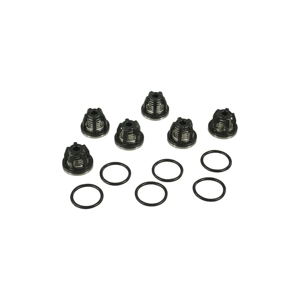 Set supape 3 cilindri AR2370