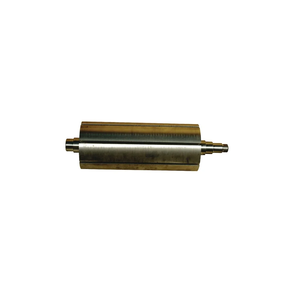 Rotor pentru MEC / H Battioni Pagani AMEC5H