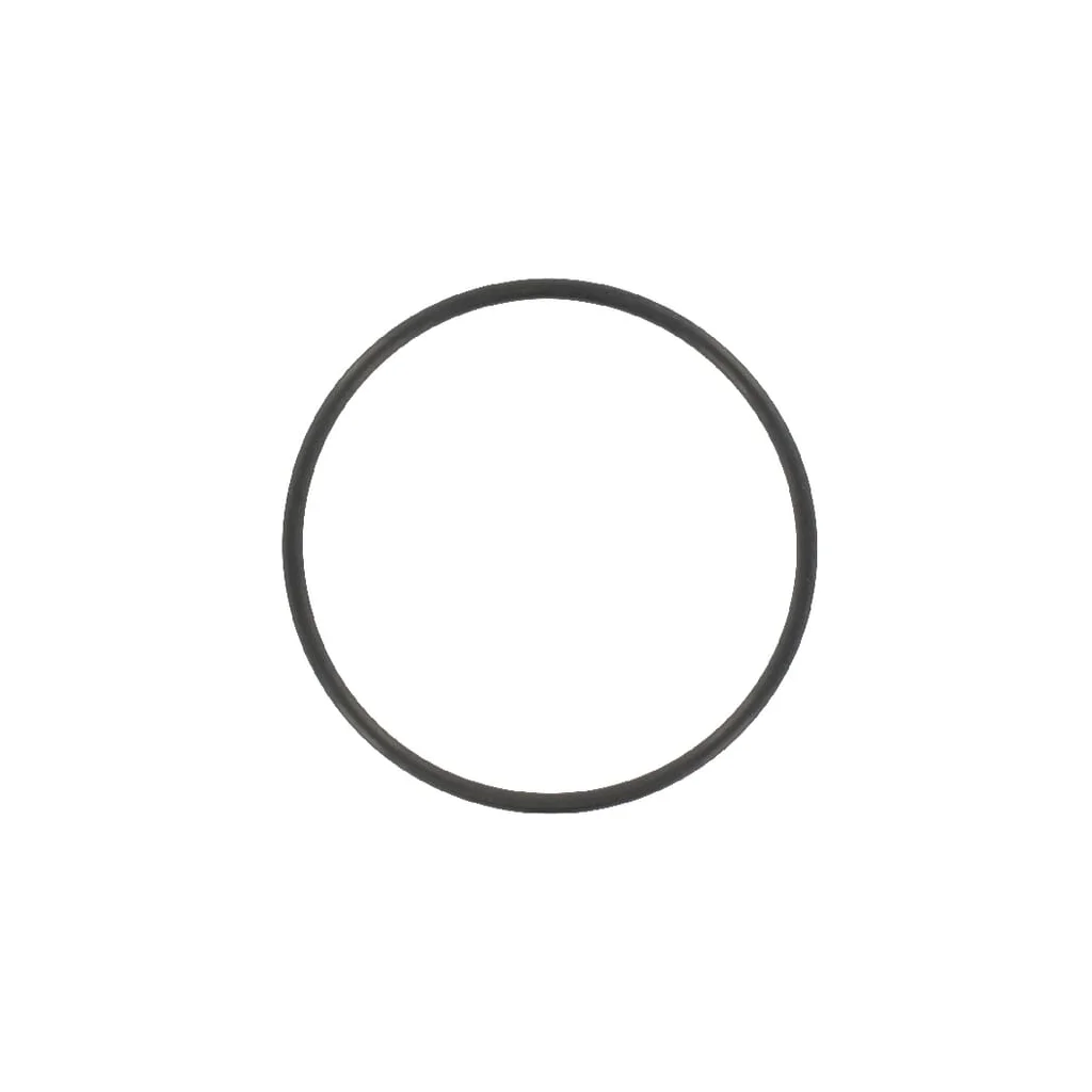 O-ring 59,99x2,62mm 70 shore negru Battioni Pagani BREVO36N