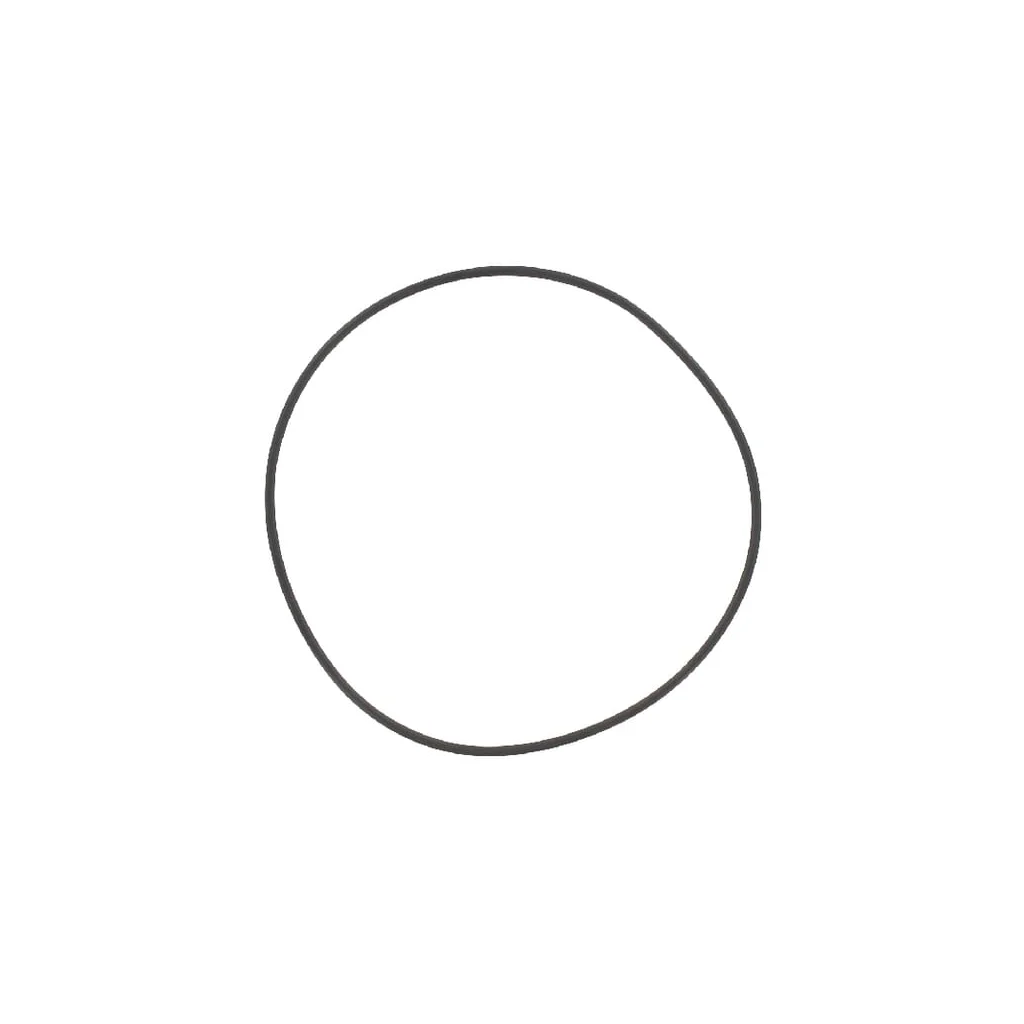 O-ring 107,62x2,62mm 70 shore negru Battioni Pagani BREVO37N