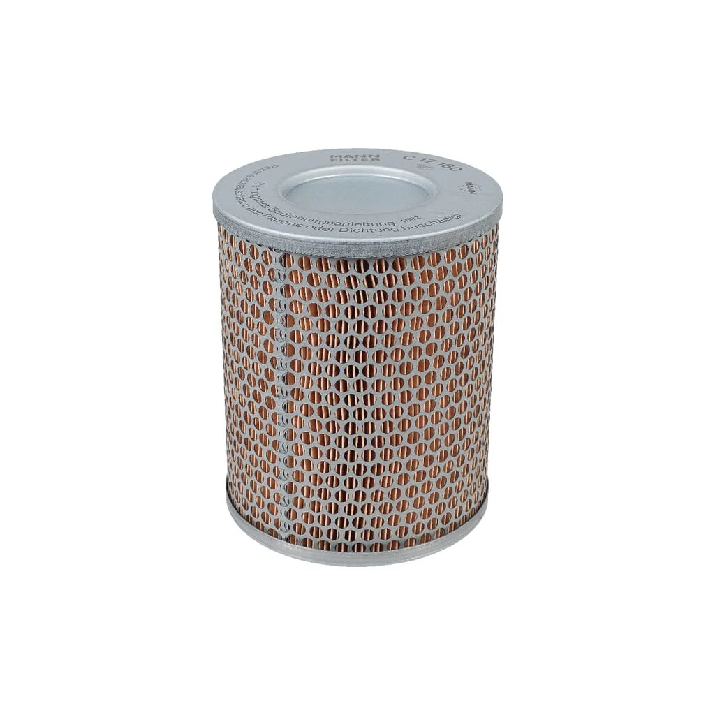 Element filtru de aer C17160