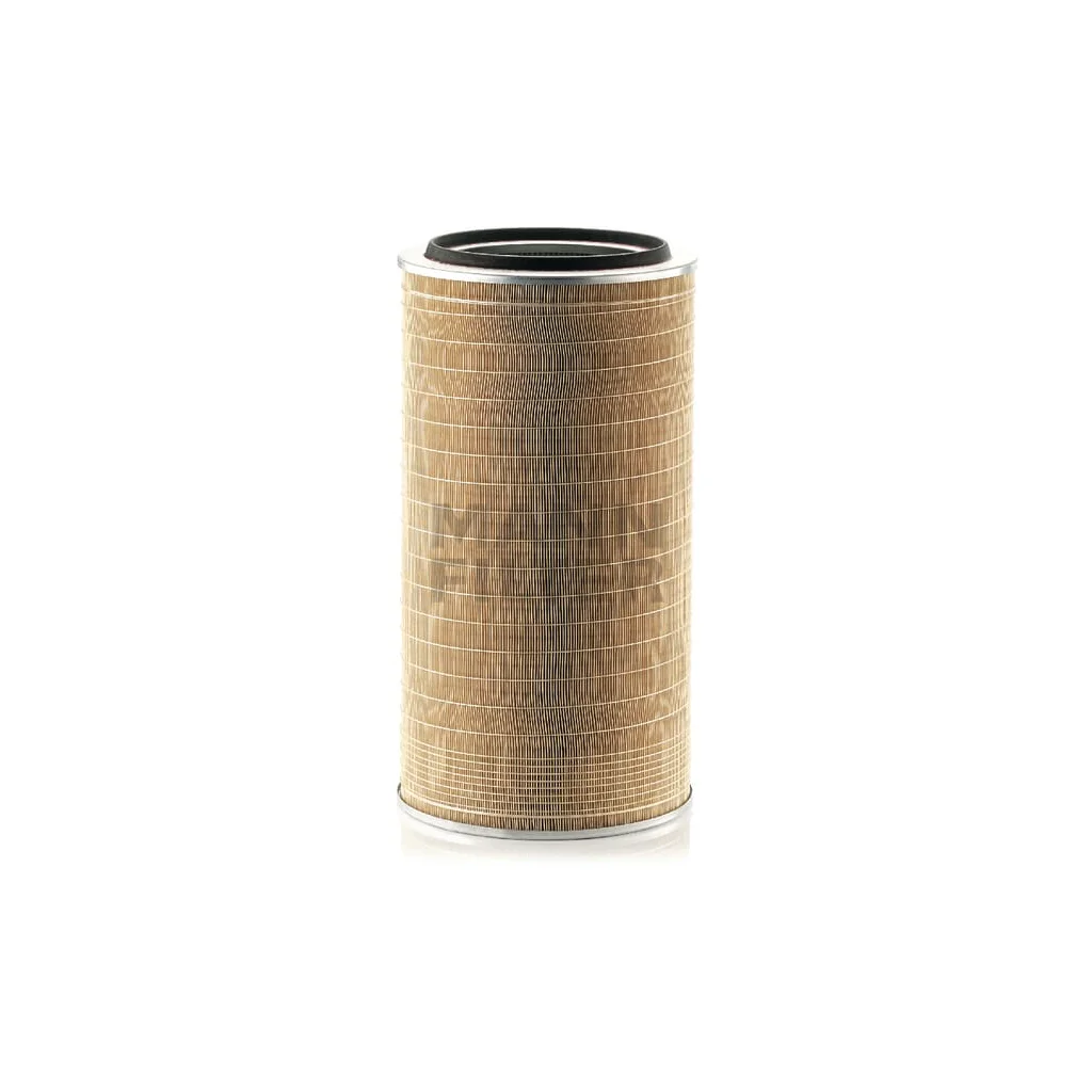 Element filtru aer C339206