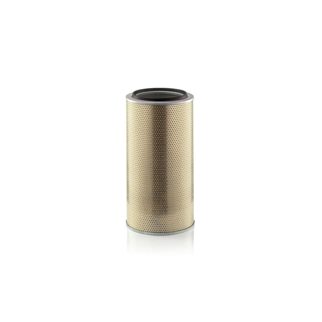 Filtru aer C339205