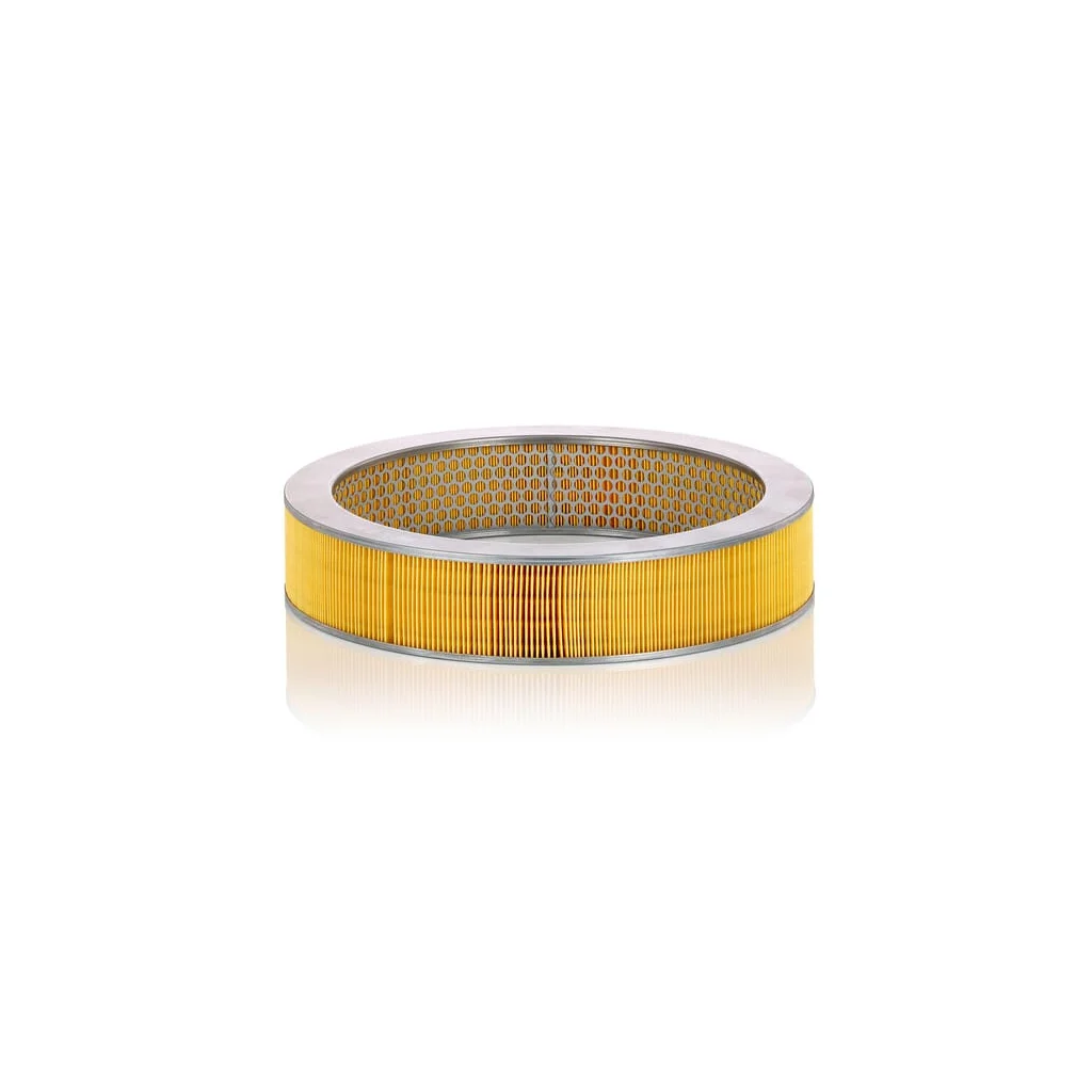 Filtru aer C37114