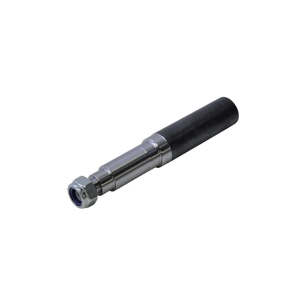 Punte BW100130