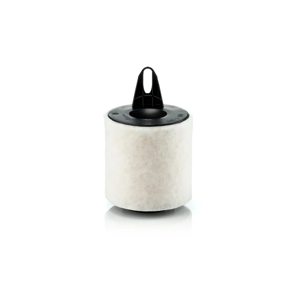 Filtru de aer C1370