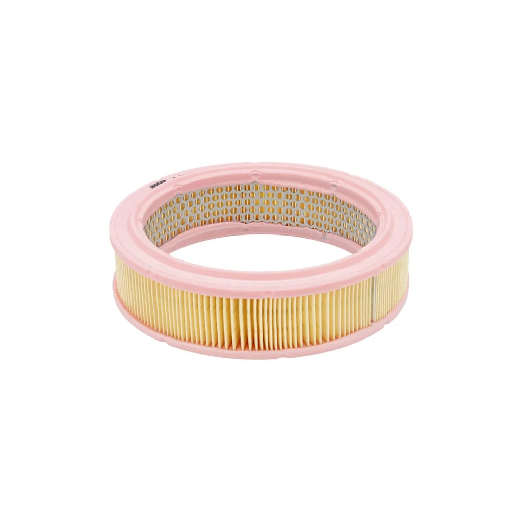 Filtru aer C24431