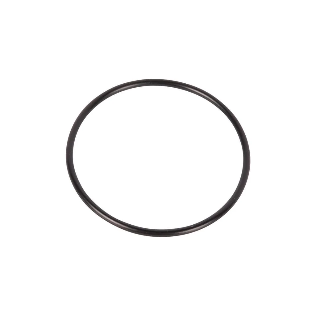 O-ring CI028527