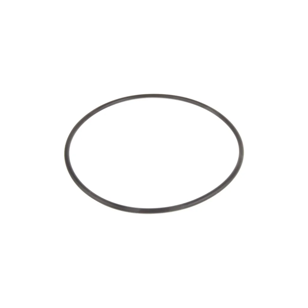 O-ring CI028212
