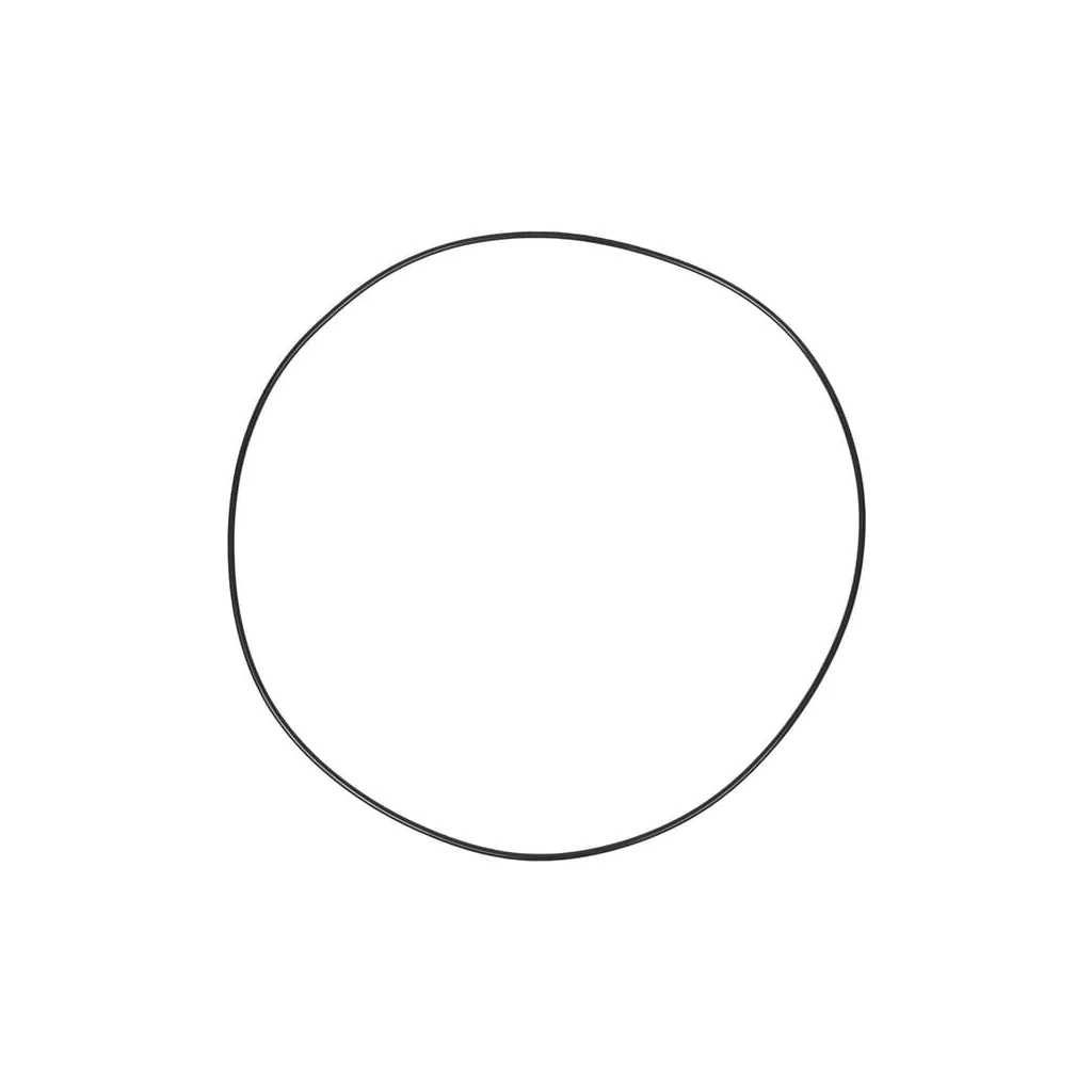 O-ring CI028668