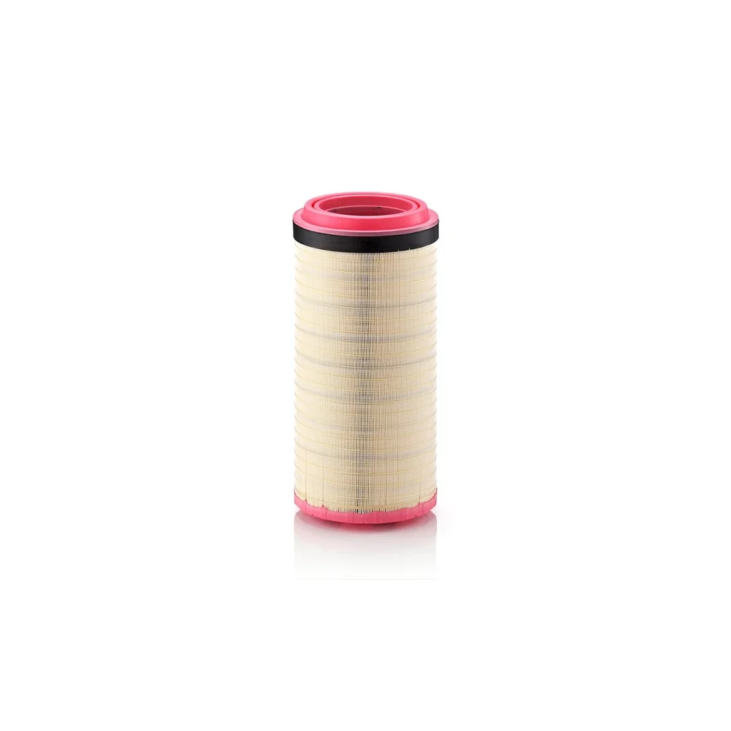 Filtru de aer C251020