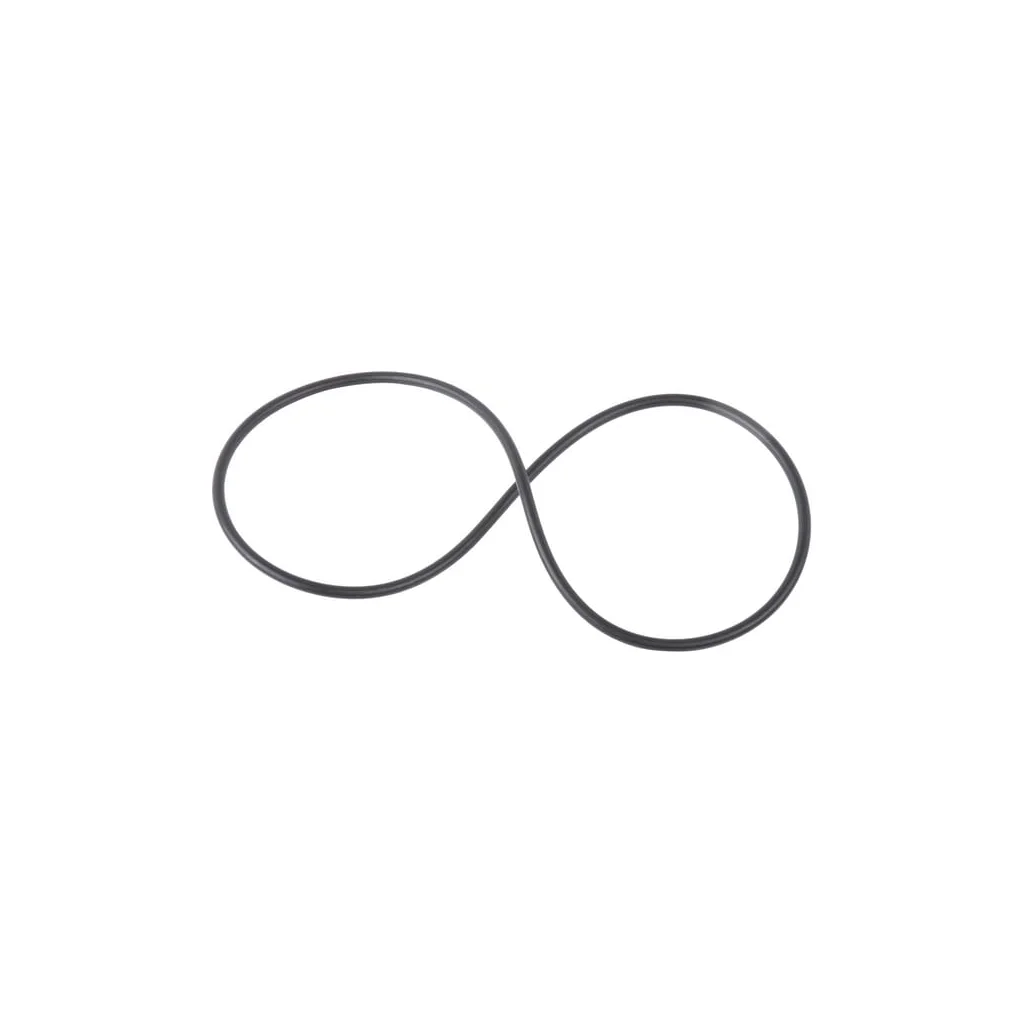 O-ring CI028624
