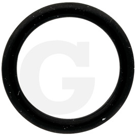 O-Ring X548844266000