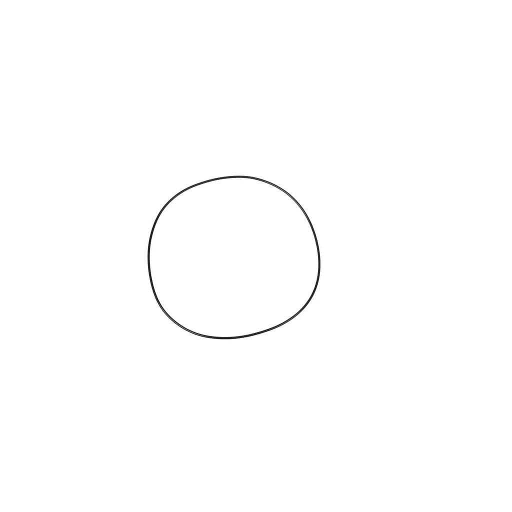 O-ring 253.59x3.53mm CI028579