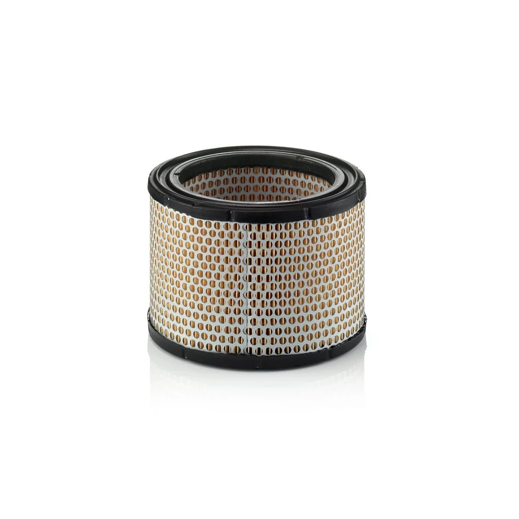 Filtru de aer C19891