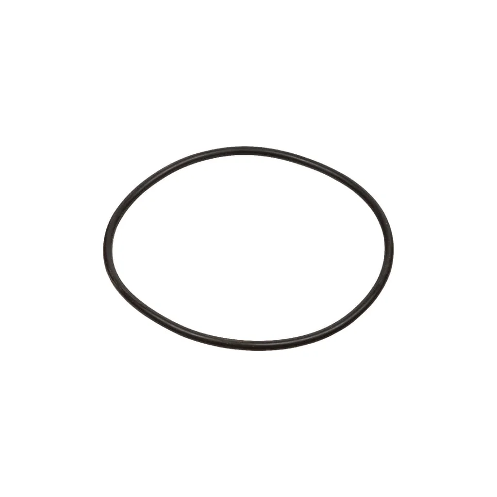 O-ring CI028613