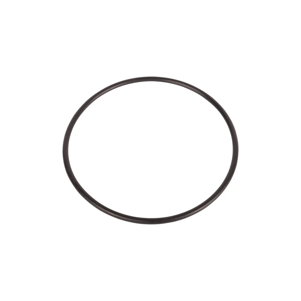 O-ring CI028567