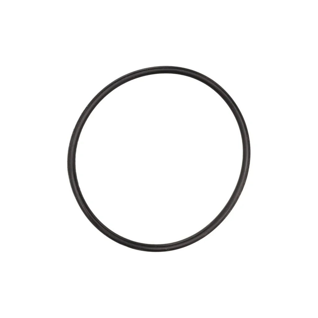 O-ring CI028518