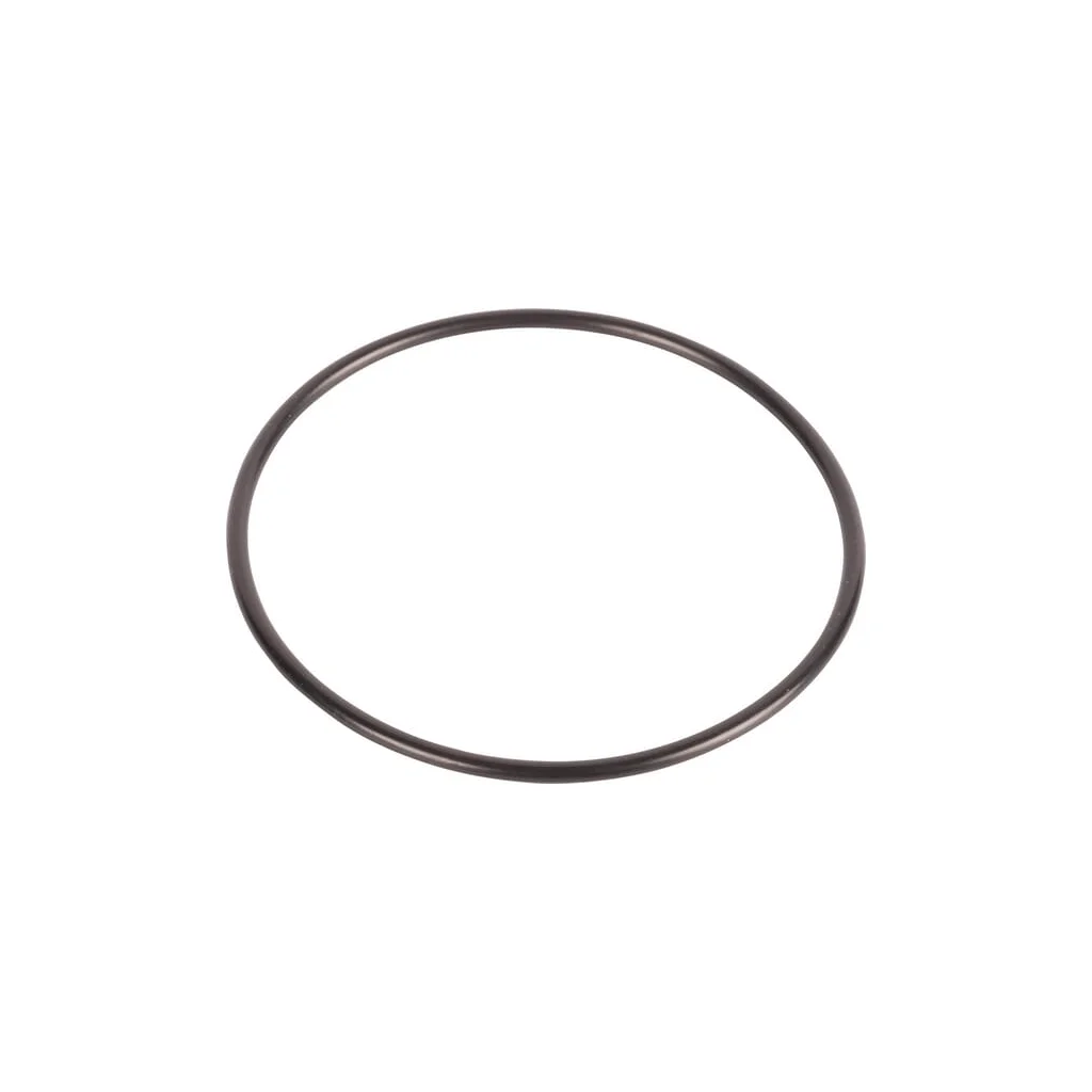 O-ring CI033029