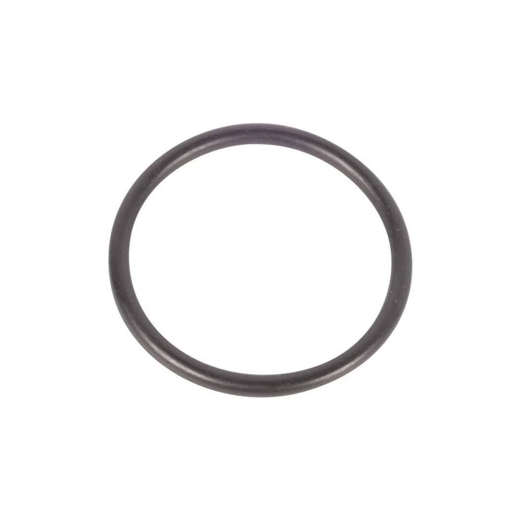 O-ring CI028600