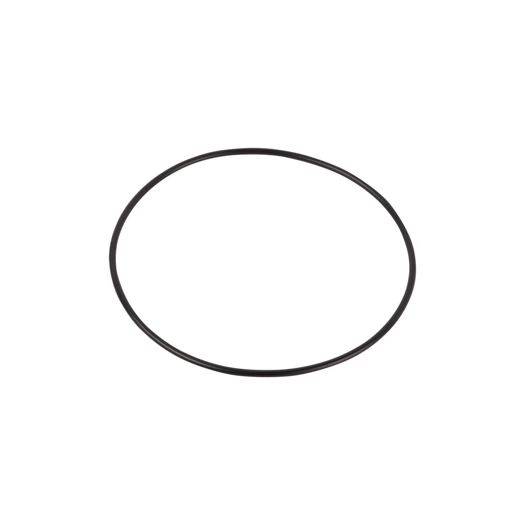O-ring CI028554