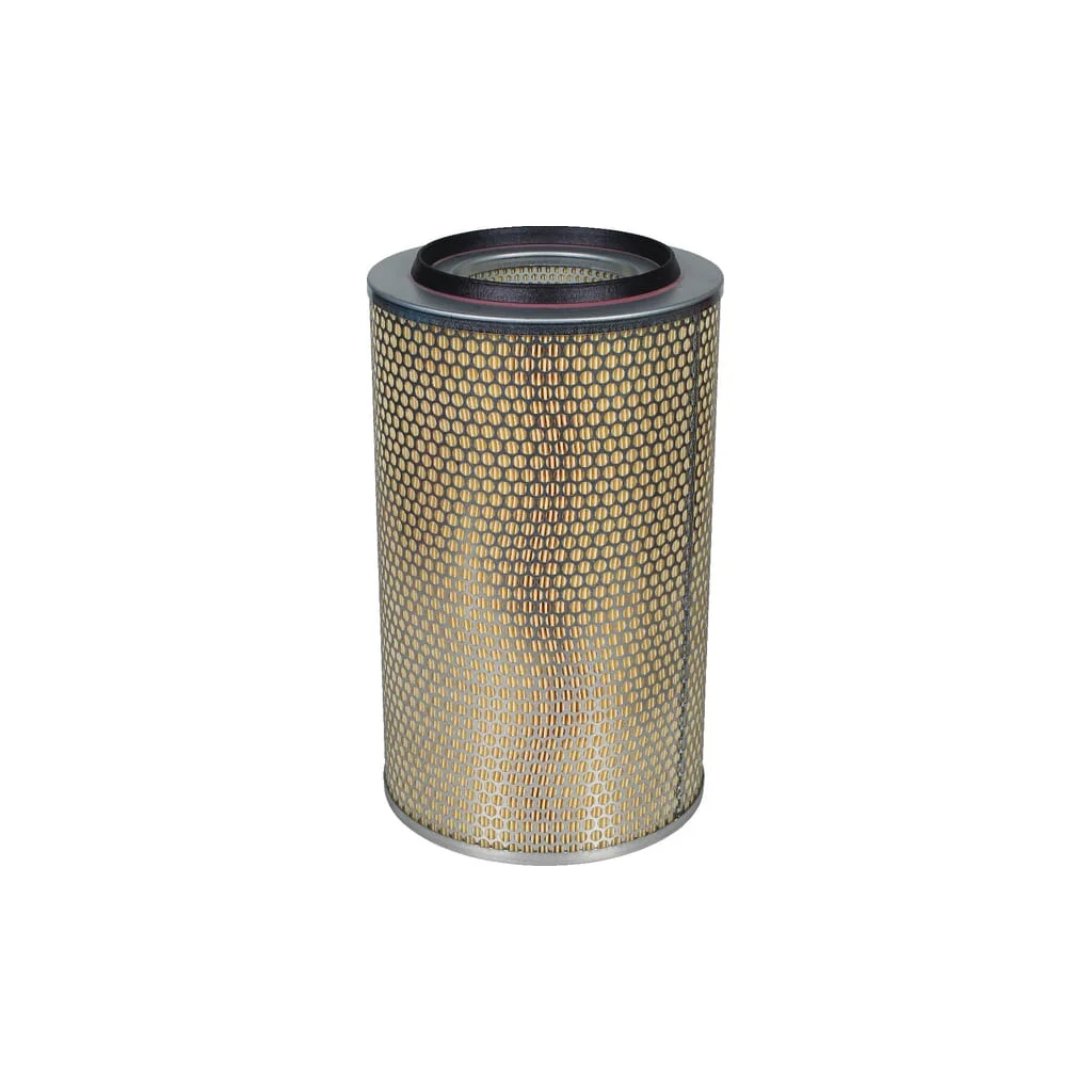 Element filtru aer C234403