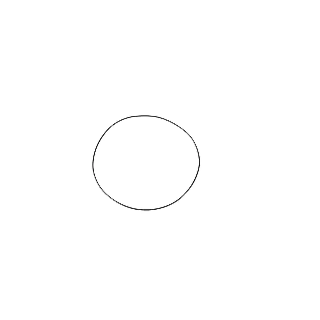 O-ring CI028639