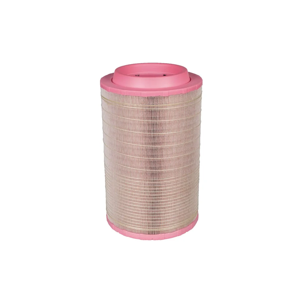 Element filtru aer C258605