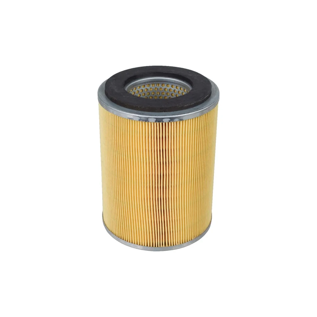 Element filtru aer C131031