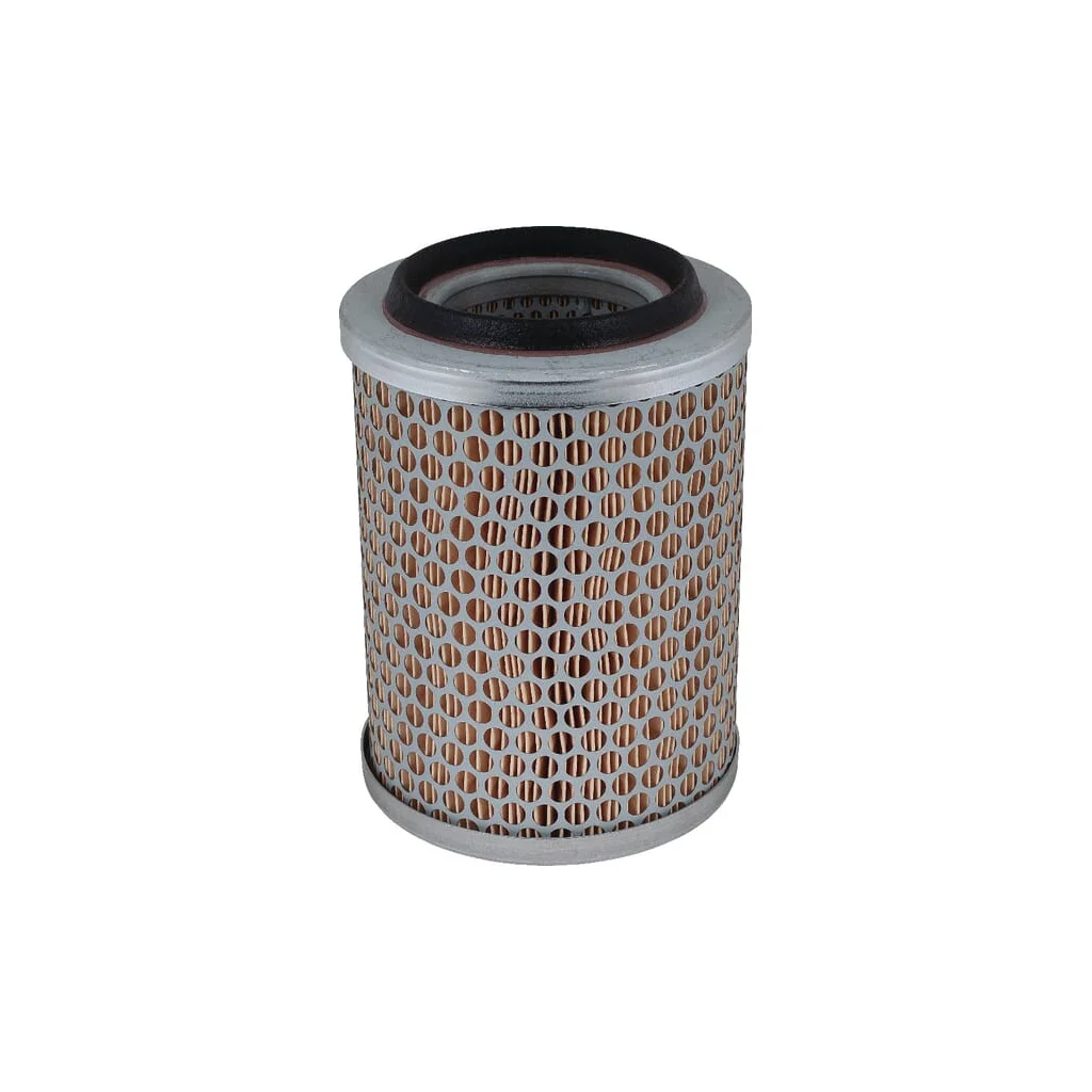 Element filtru aer C1396