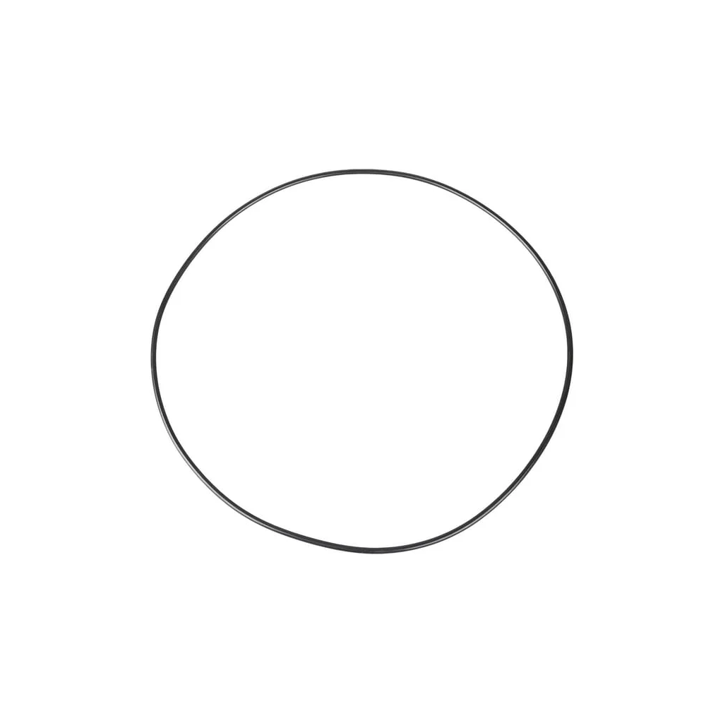 O-ring CI028562