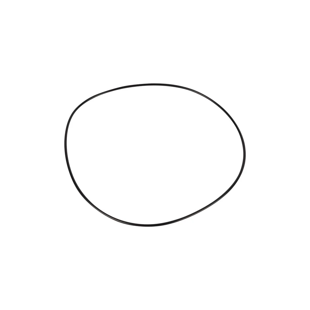 O-ring CI028611