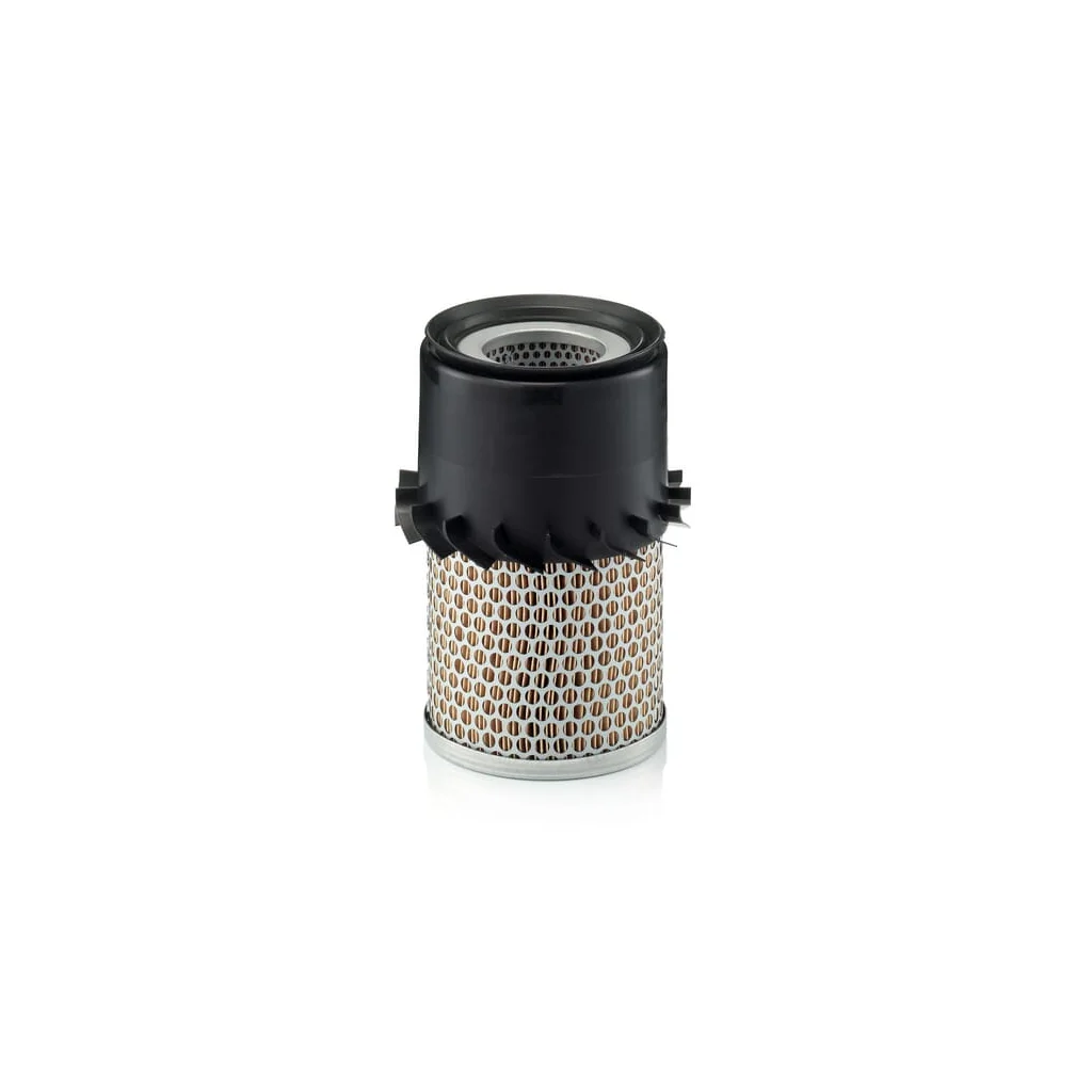 Filtru de aer C141381